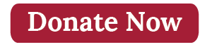 Donate Now Button