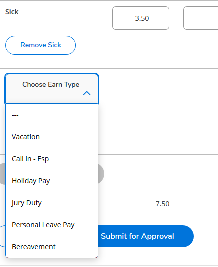 Selecting an additional earn type, such as sick time, vacation time, or holiday pay